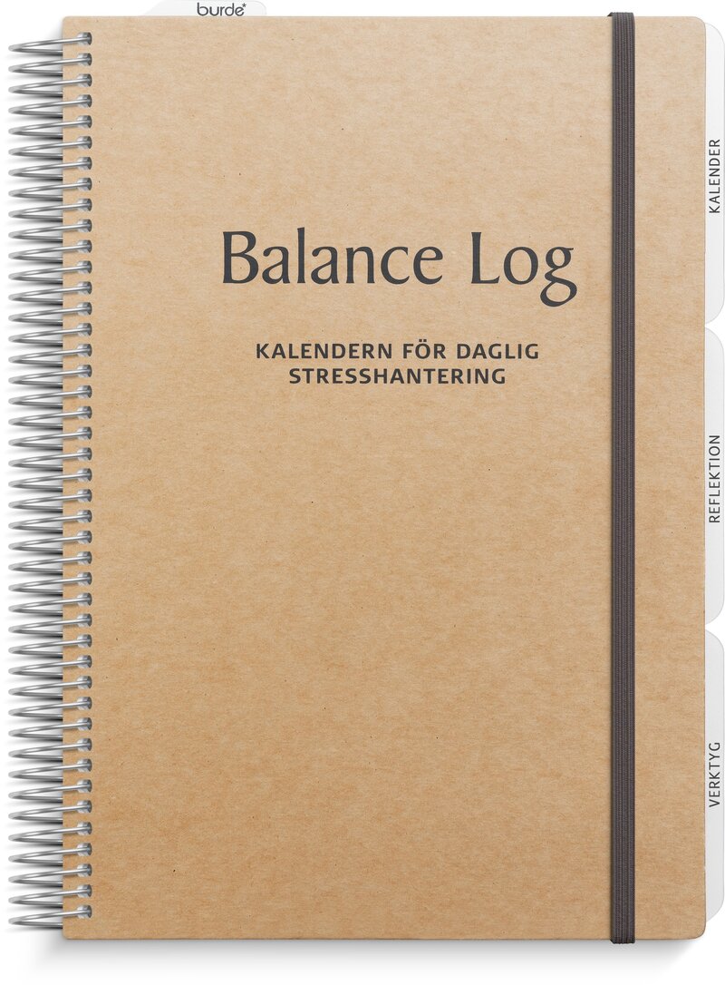 Balance Log