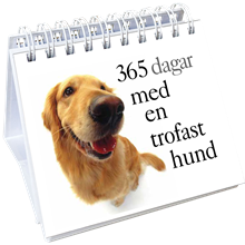 365 dagar med en trofast hund